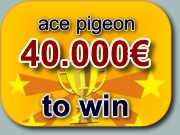 ace pigeon 25.000€ to win